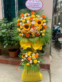 Kệ Hoa Chúc Mừng - HNA.KHCM2