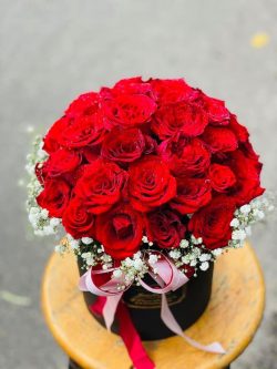 Bó Hoa Chúc Mừng - HNA.BHCM19