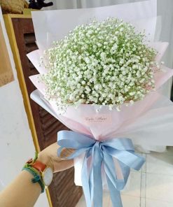 Hoa Tốt Nghiệp - HNA.HTN26