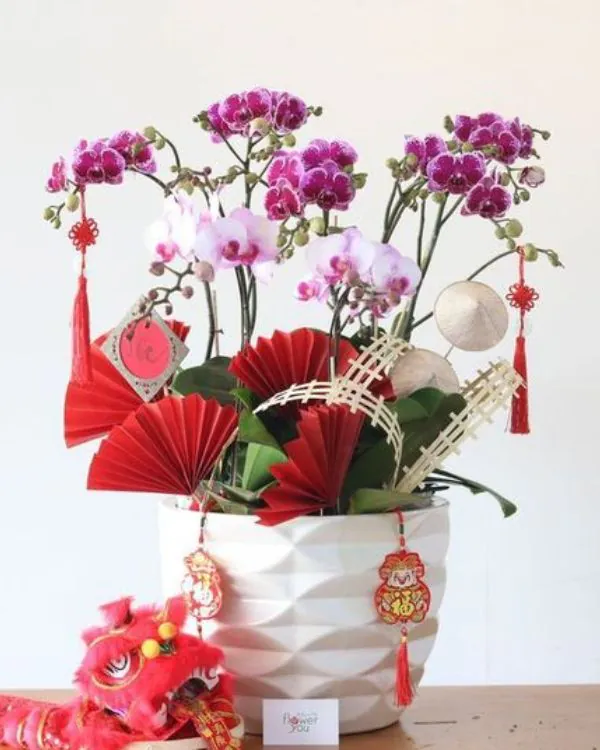 Hoa Lan Hồ Điệp - HNA.HLHD58