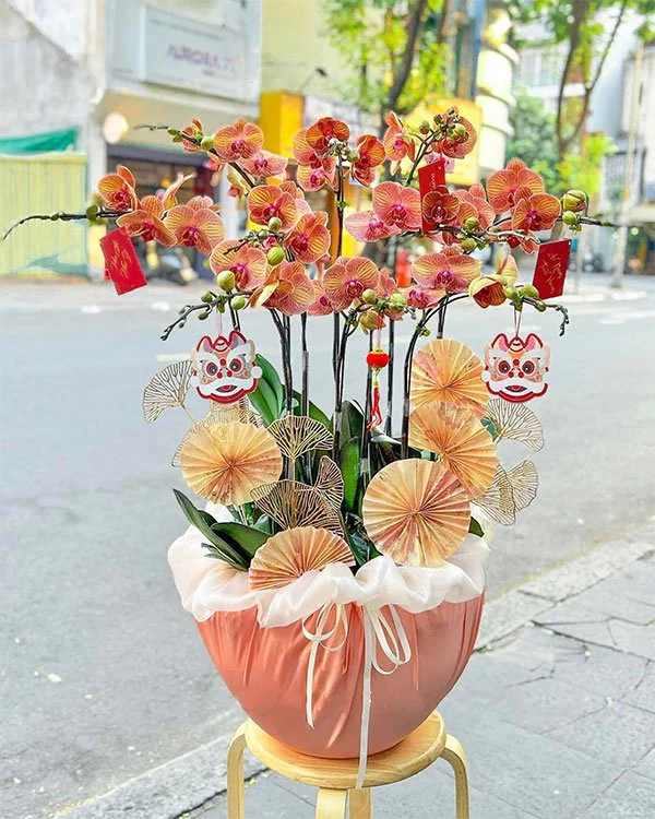 Hoa Lan Hồ Điệp - HNA.HLHD67