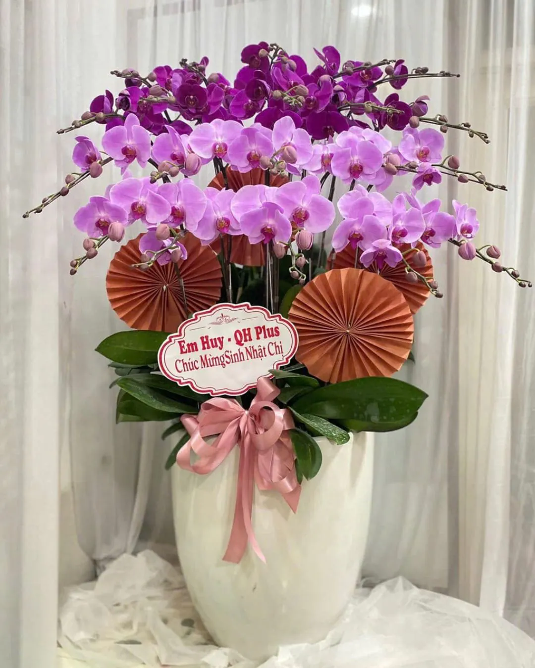 Hoa Lan Hồ Điệp - HNA.HLHD94