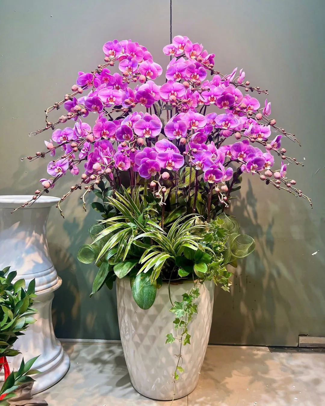 Hoa Lan Hồ Điệp - HNA.HLHD96